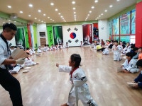 통일태권도
