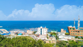 시크릿파크펜션