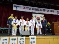 통일태권도