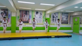 용인대 한국체대 문래인성 태권도