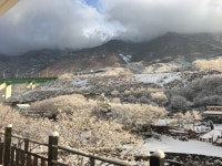 온더밸리