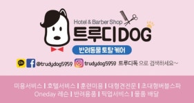 트루디독