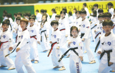 STS한국체대태권도