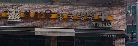 브라운동물병원