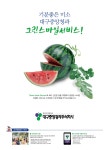 대구중앙청과
