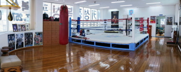 정인권투체육관