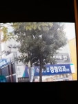 수성연합정형외과의원
