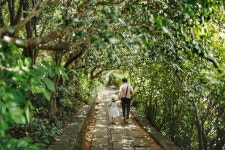 장사도해상공원까멜리아