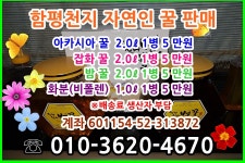 성천벌꿀농장
