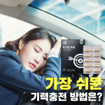 로이네이처 수지점 | 로이네이처