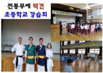 100세 건강택견