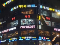 마스터김 MMA복싱
