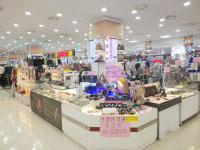 오키드
