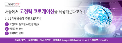 이호스트아이씨티
