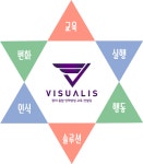 비주얼이즈