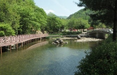 고산자연휴양림