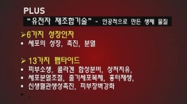 뷰티호텔