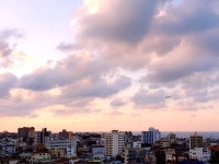 아라팰리스 호텔