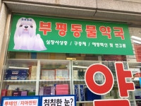 새정성약국