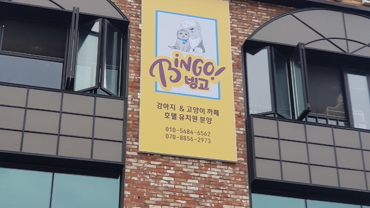 빙고