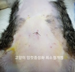 안동제1동물병원