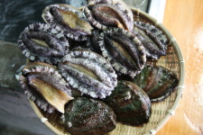 청담수산