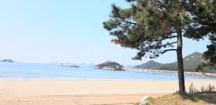 선유도한세월민박횟집