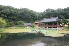 사랑채펜션