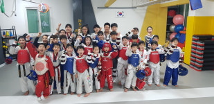 고려대서구태권도