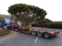 전국화물로지스