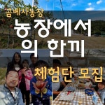 곰베사농장