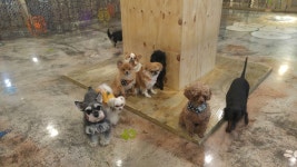 헤이독 대전점