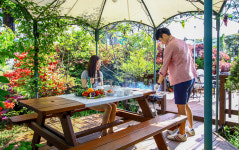 처음처럼 애견펜션