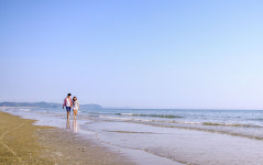 처음처럼 애견펜션