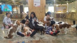 헤이독 대전점