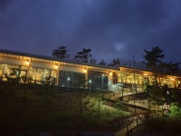 천사바다블라썸