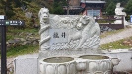 청룡사