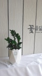 꽃닮 꽃집