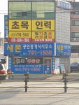 초목인력