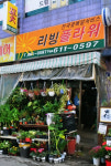 리빙플라워