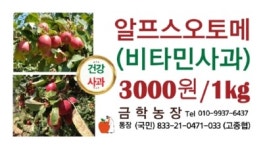 금학농장