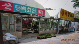 동백화원