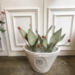 헤이리스 플라워 옥정점