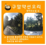 구암약선오리