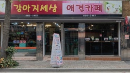강아지세상