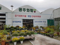 광주화훼