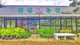 성실난원