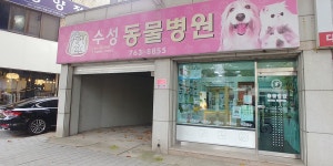 수성동물병원