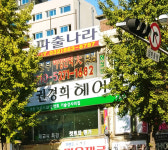 권경희헤어크리닉