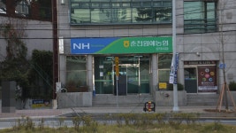 춘천원예농협 온의지점